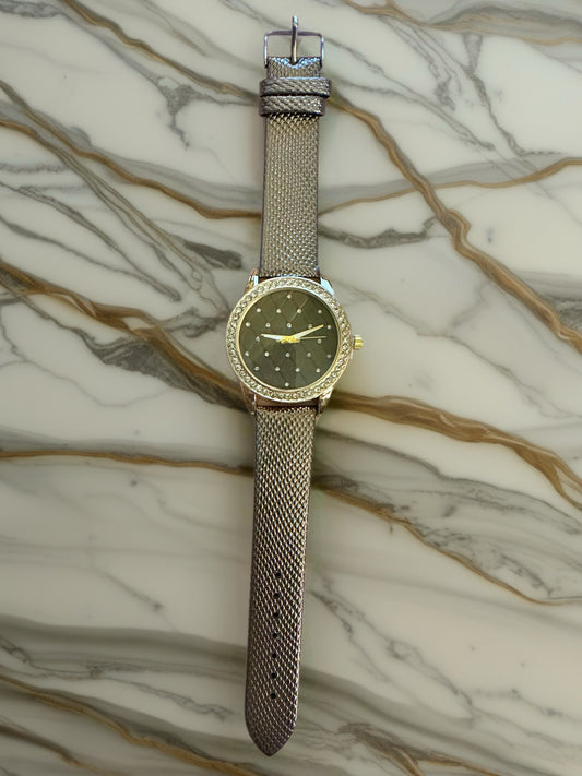 Crystal Elegance Mesh Watch